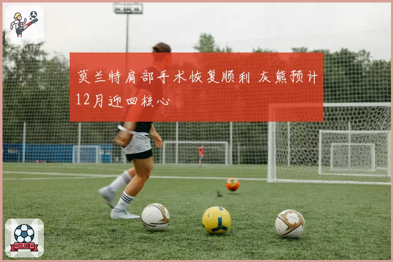莫兰特肩部手术恢复顺利 灰熊预计12月迎回核心