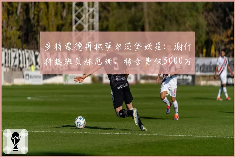 多特蒙德再挖萨尔茨堡妖星:谢什科接班贝林厄姆,转会费仅5000万?