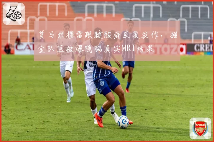 贾马尔穆雷跟腱酸痛反复发作,掘金队医被爆隐瞒真实MRI结果
