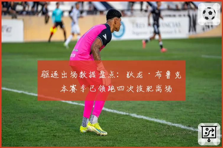 驱逐出场数据盘点:狄龙·布鲁克斯本赛季已领跑四次技犯离场