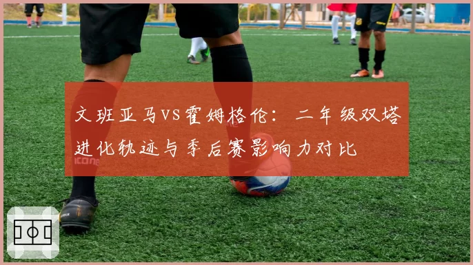 文班亚马vs霍姆格伦：二年级双塔进化轨迹与季后赛影响力对比