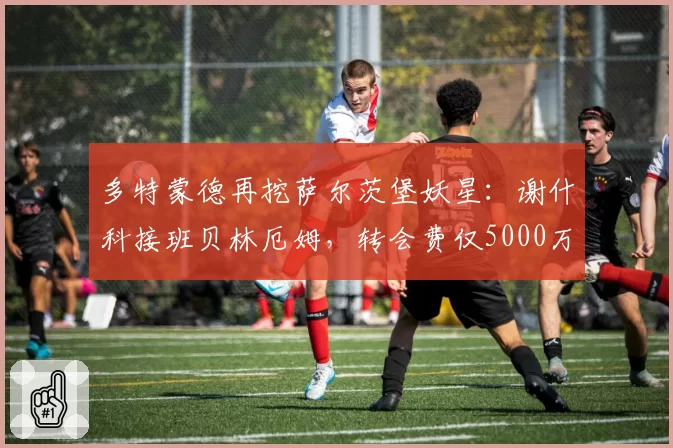 多特蒙德再挖萨尔茨堡妖星:谢什科接班贝林厄姆,转会费仅5000万?