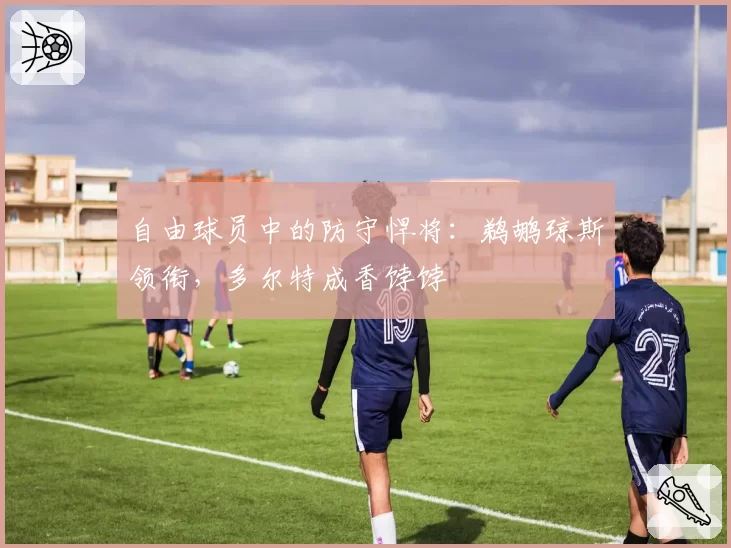 自由球员中的防守悍将：鹈鹕琼斯领衔，多尔特成香饽饽